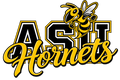 Alabama ASU  DTF ready to press iron on transfer for clothing t-shirts and hoodies