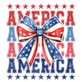 America DTF ready to press iron on transfer for clothing t-shirts and hoodies