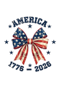 America 4th of July DTF ready to press iron on transfer for clothing t-shirts and hoodies