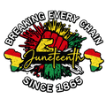 Juneteenth Break Every Chain since 1865 DTF ready to press iron on transfer for clothing t-shirts and hoodies