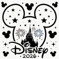 Disney DTF ready to press iron on transfer for clothing t-shirts and hoodies