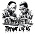 MLK Malcolm X Chess They not like us DTF Iron on transfer for clothing t-shirts and hoodies