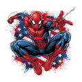 Spiderman with American flag DTF iron on transfer for clothing t-shirts etc