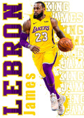 LeBron basketball DTF ready to press iron on transfer for clothing t-shirts and hoodies