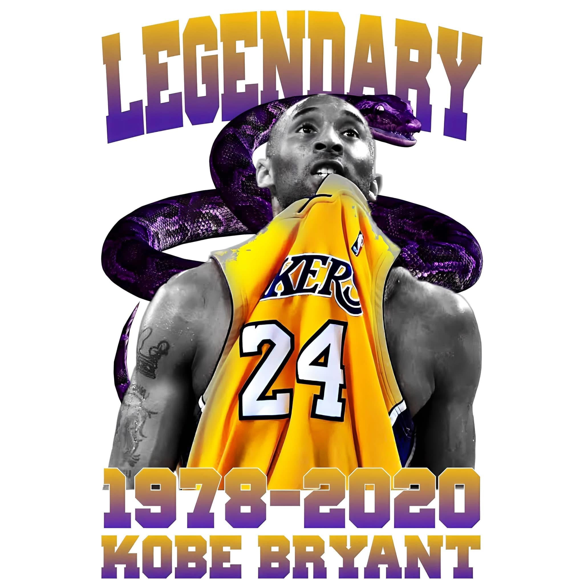 Kobe black mamba basketball DTF ready to press iron on transfer for clothing t-shirts and hoodies