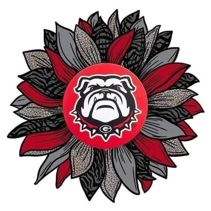 UGA GA Athens Bulldogs Dawgs DTF ready to press iron on transfer for clothing t-shirts and hoodies