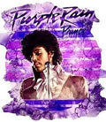 Purple Rain Prince DTF Iron on ready to press for clothing t-shirts and hoodies all fabric colors