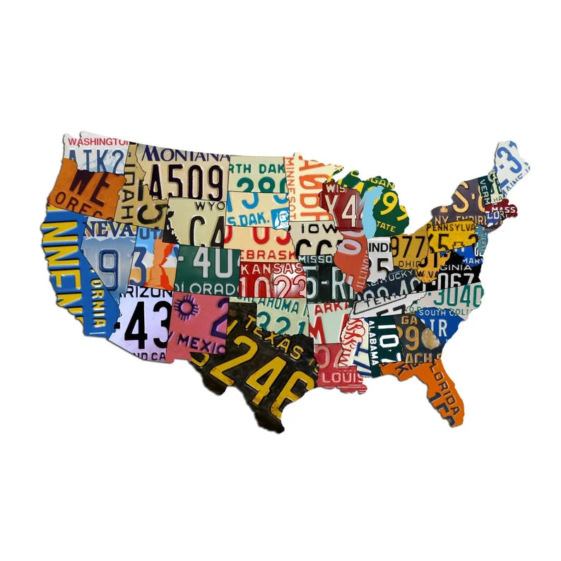 USA States Map DTF ready to press iron on transfer for clothing t-shirts and hoodies