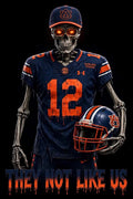 Auburn Tigers They Not Like Us Football DTF ready to press iron on transfer for clothing t-shirts and hoodies