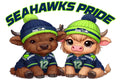 Seahawks Football DTF ready to press iron on transfer for clothing t-shirts and hoodies