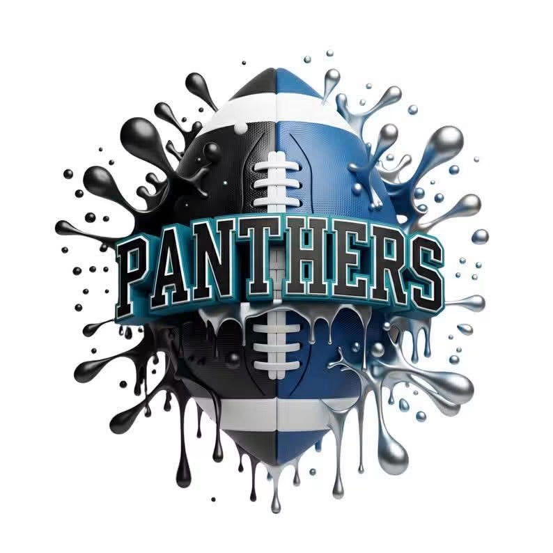 Panthers Football DTF ready to press iron on transfer for clothing t-shirts and hoodies