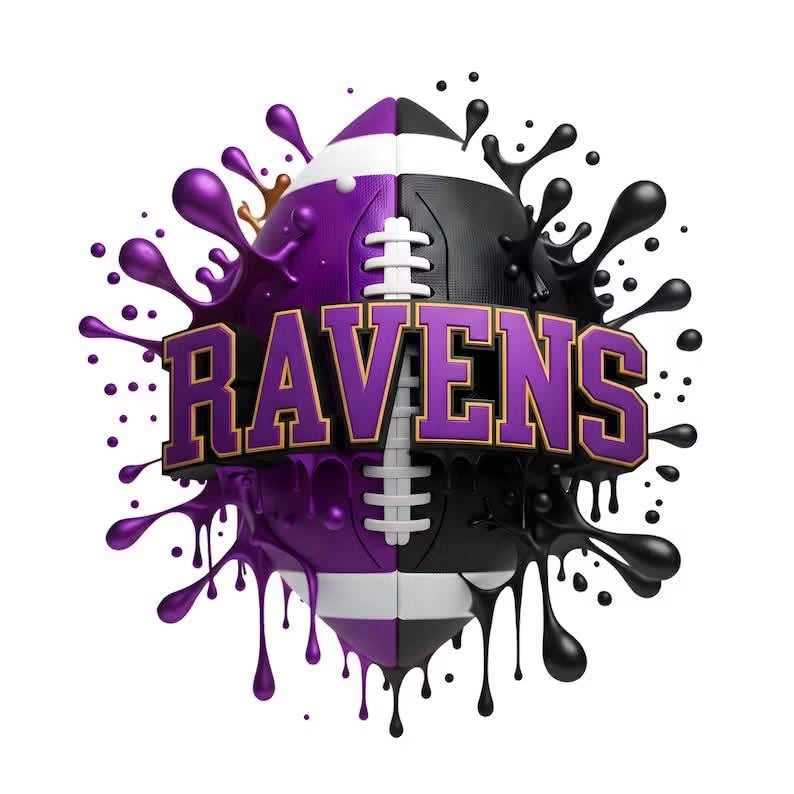 RAVENS Football DTF ready to press iron on transfer for clothing t-shirts and hoodies