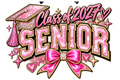 Class of 2027 Senior Pink DTF ready to press iron on transfer for clothing t-shirts and hoodies