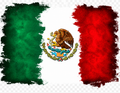 The Flag of Mexico DTF iron on transfer for clothing t-shirts etc