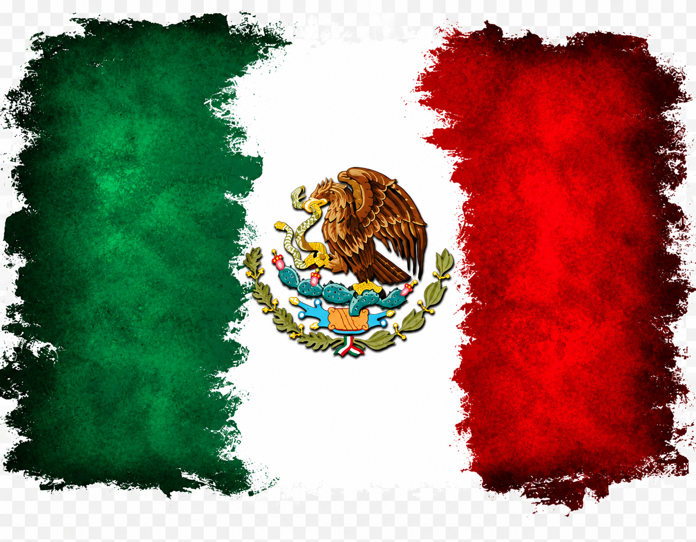 The Flag of Mexico DTF iron on transfer for clothing t-shirts etc